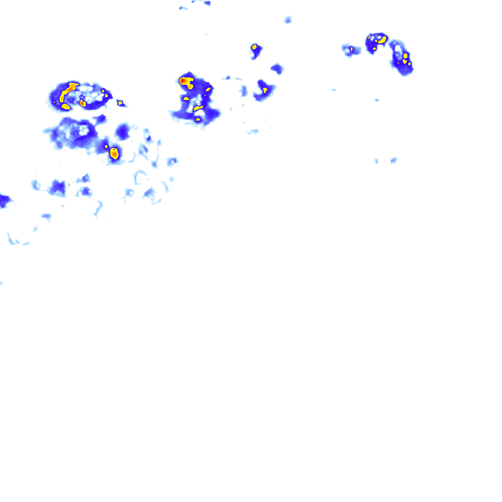 rainLayer