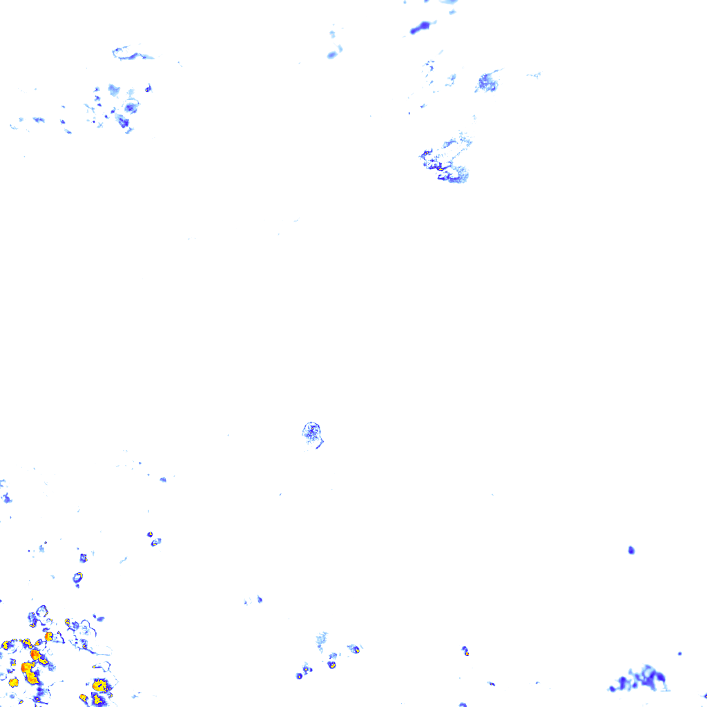 rainLayer