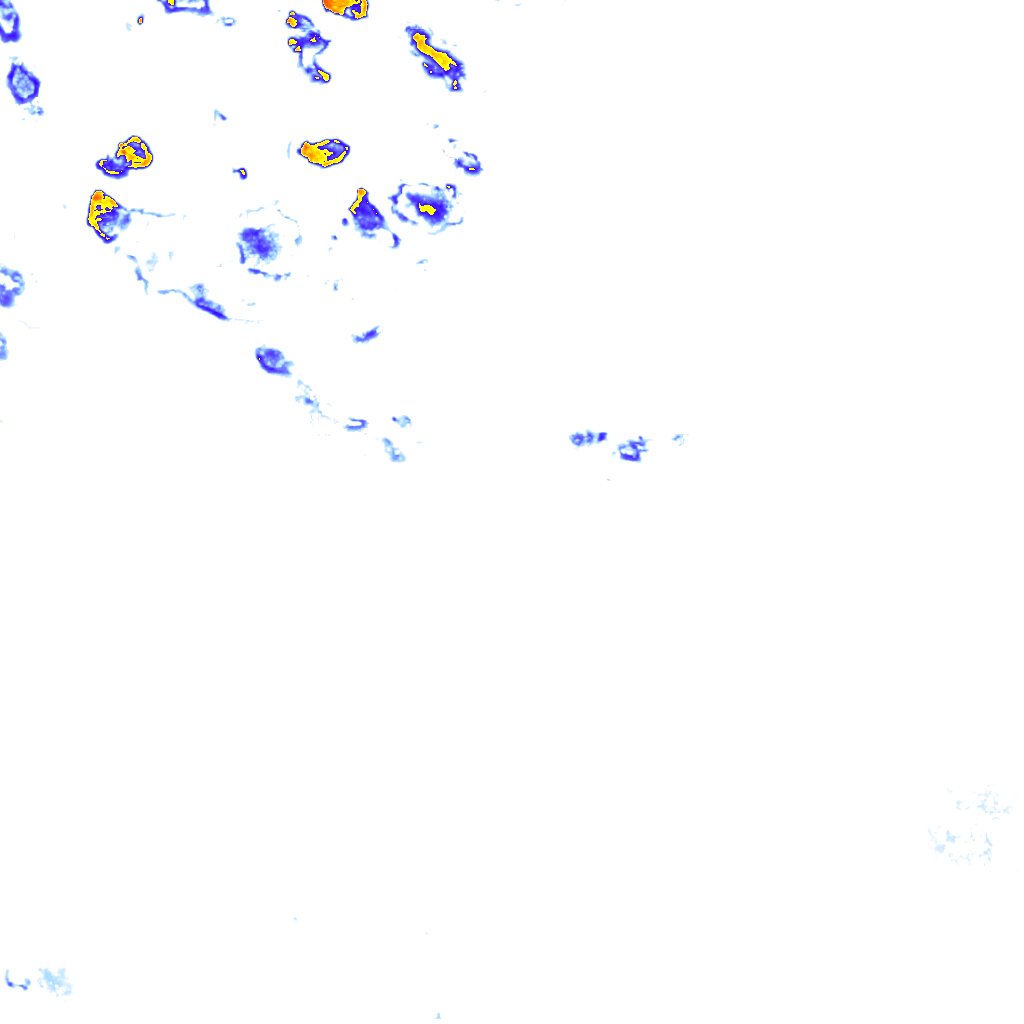 rainLayer