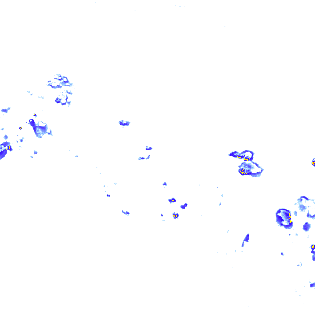 rainLayer