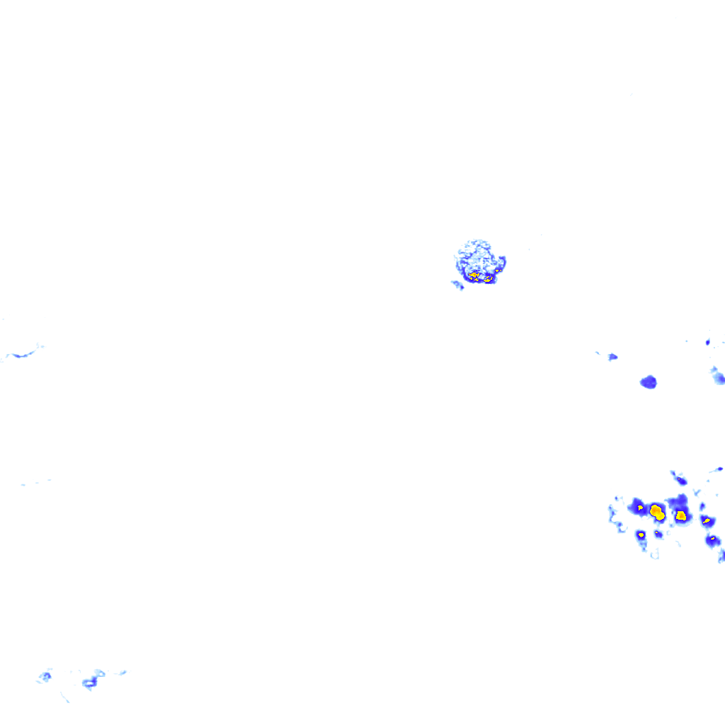 rainLayer