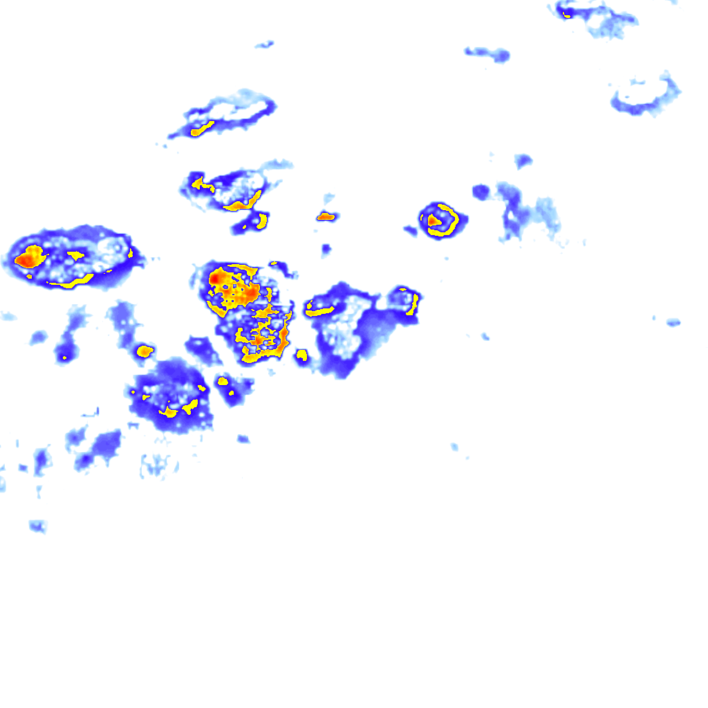 rainLayer