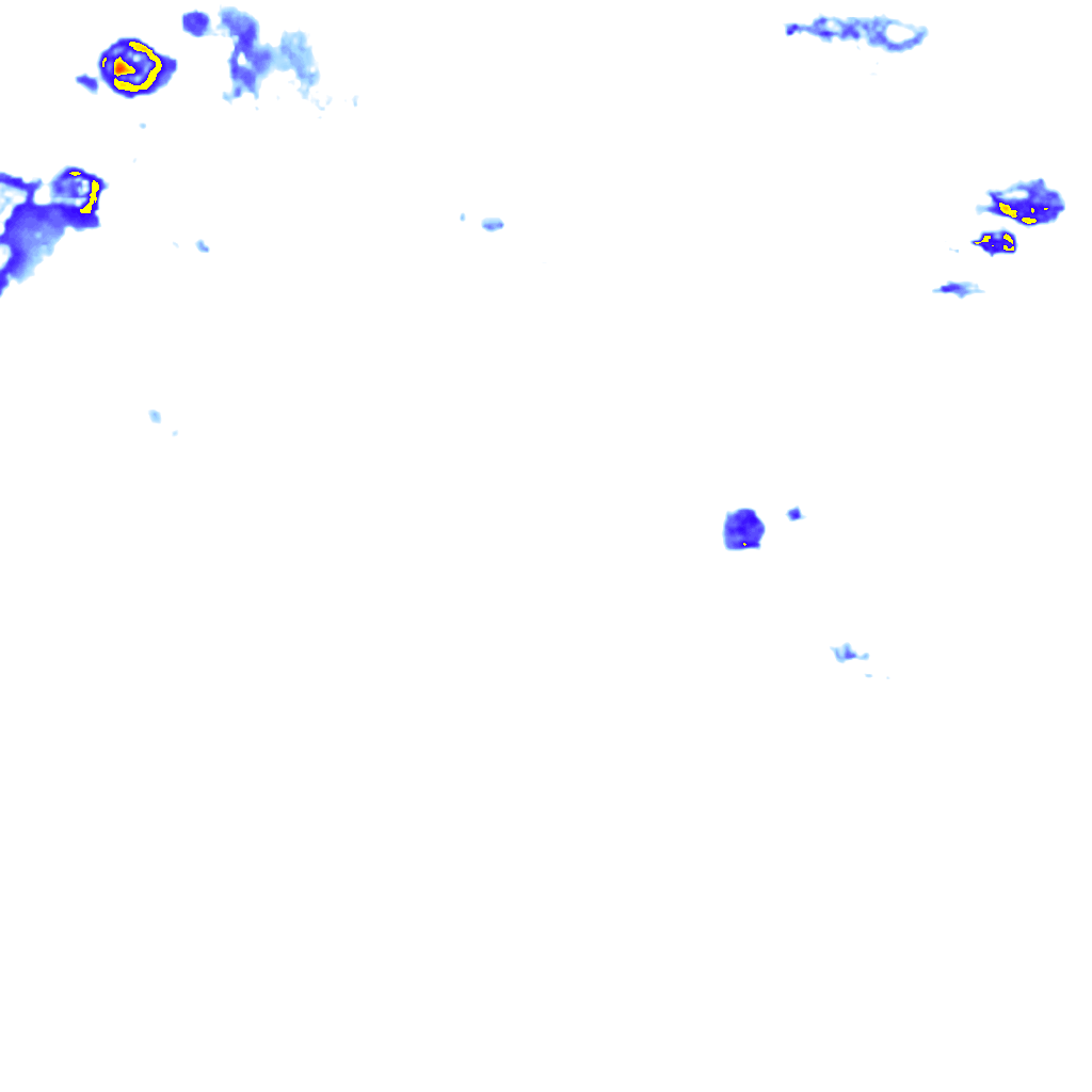 rainLayer