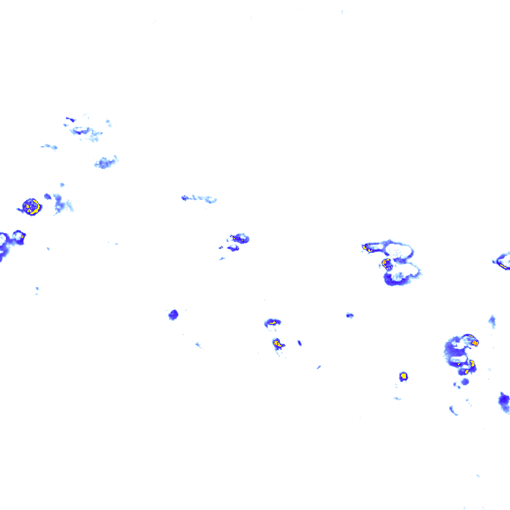rainLayer