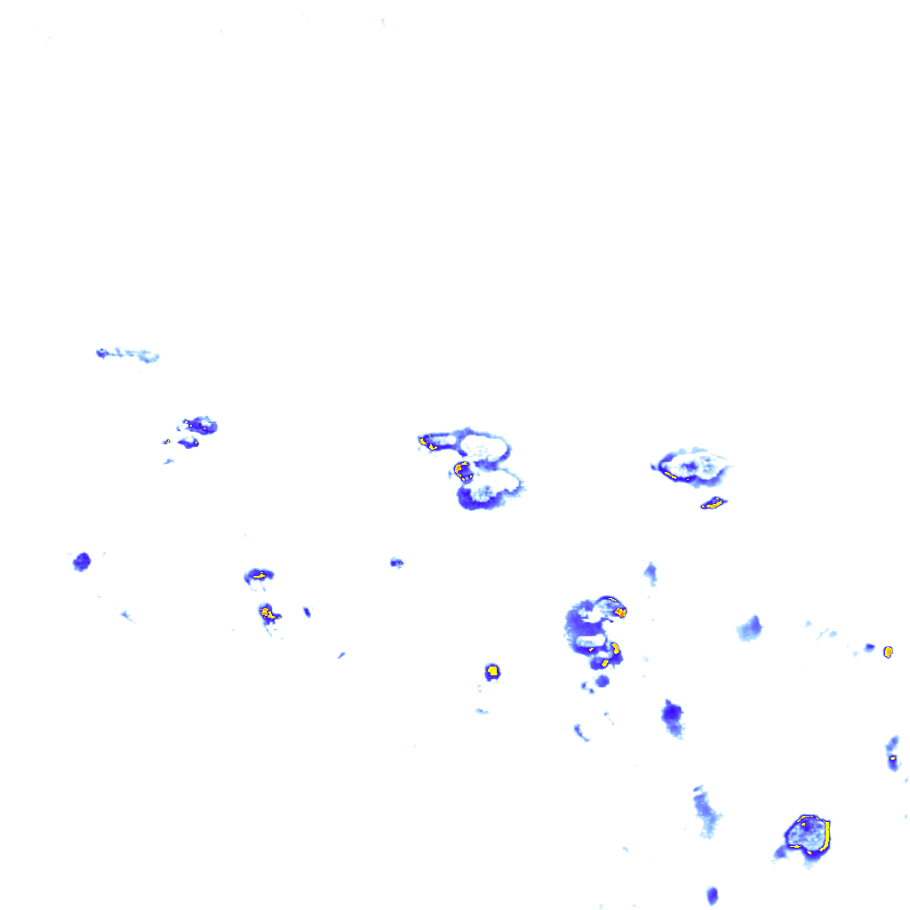 Image Layer