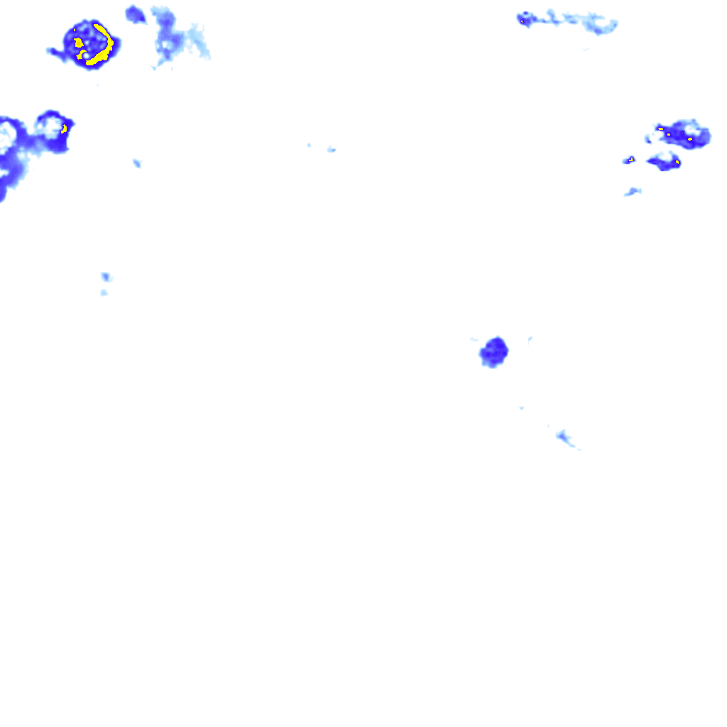 Image Layer