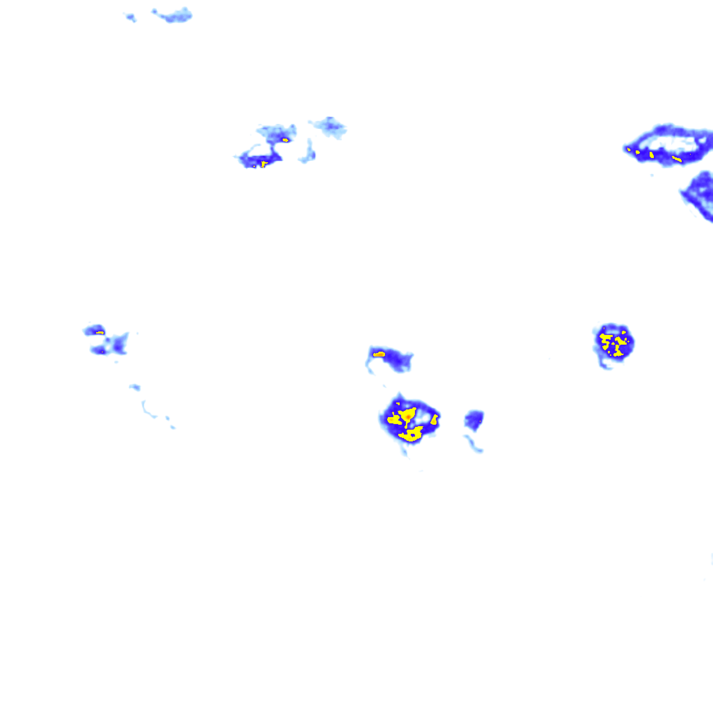 rainLayer