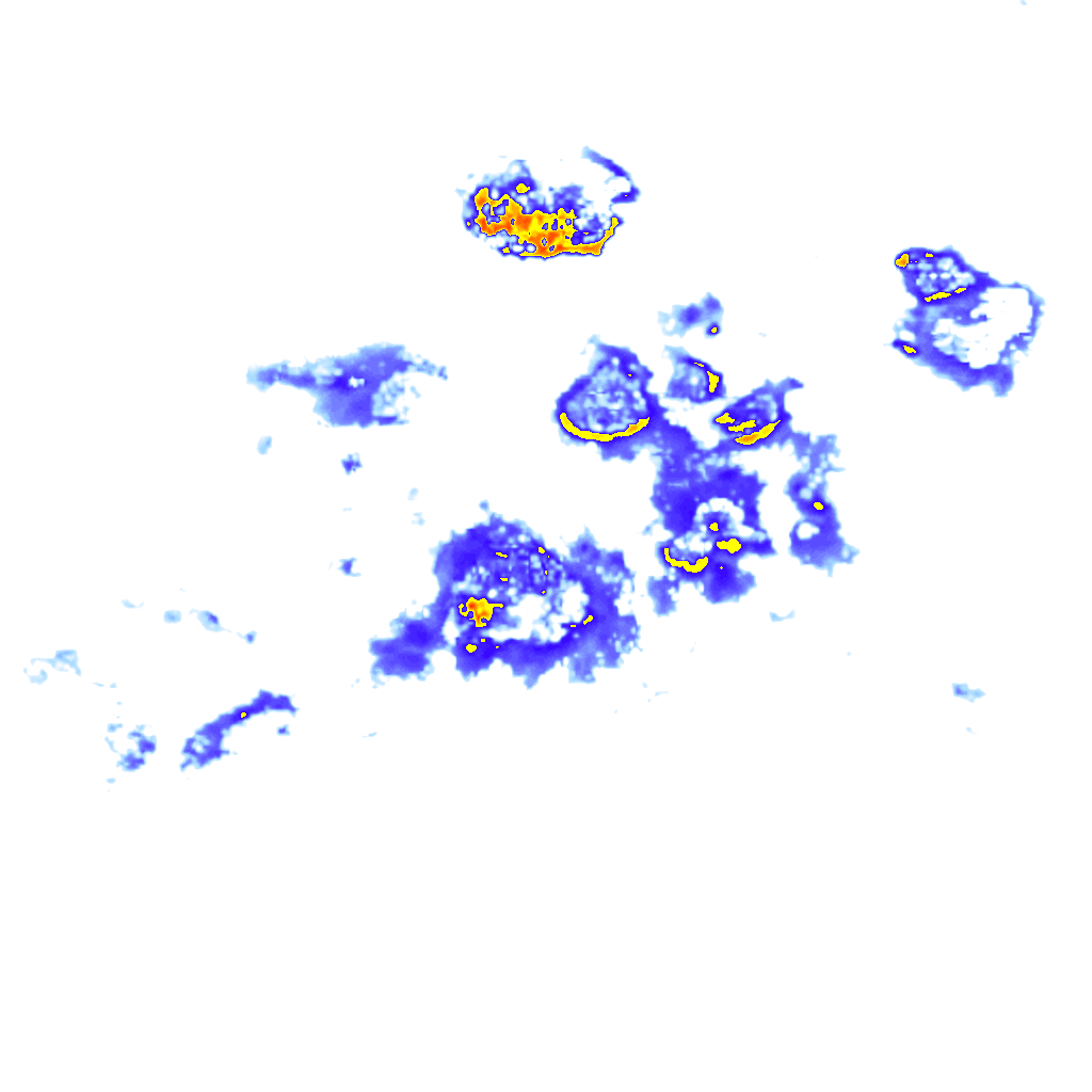 rainLayer