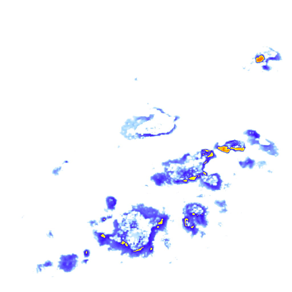 Image Layer