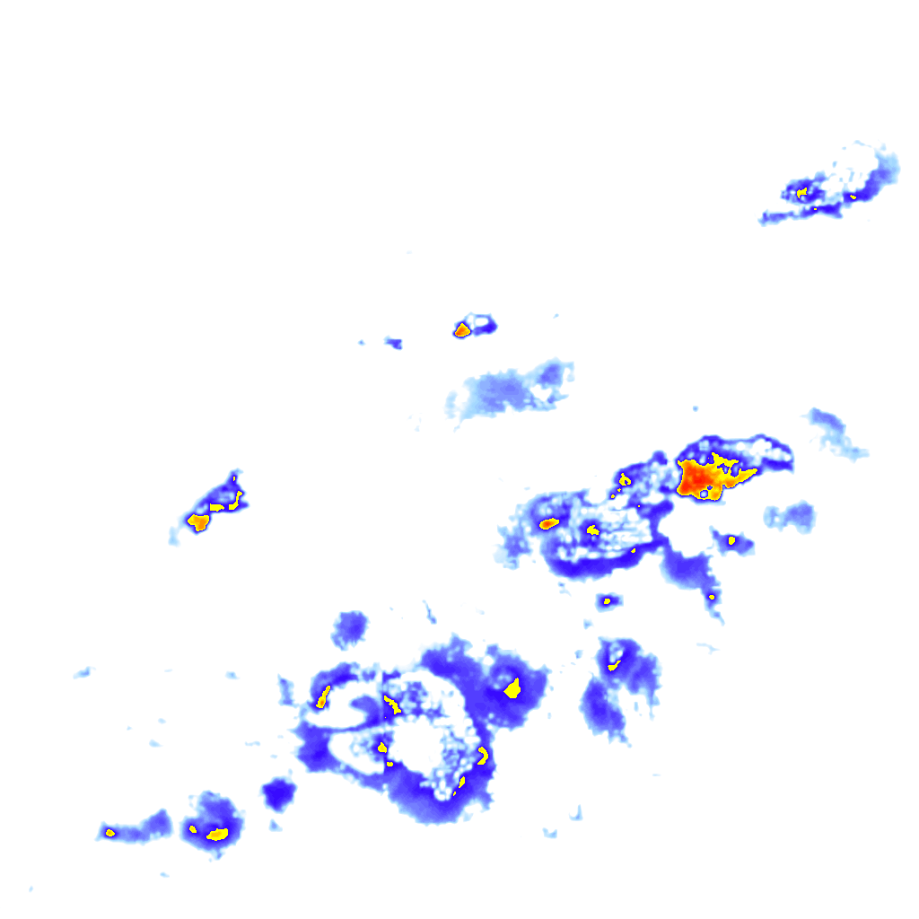 rainLayer