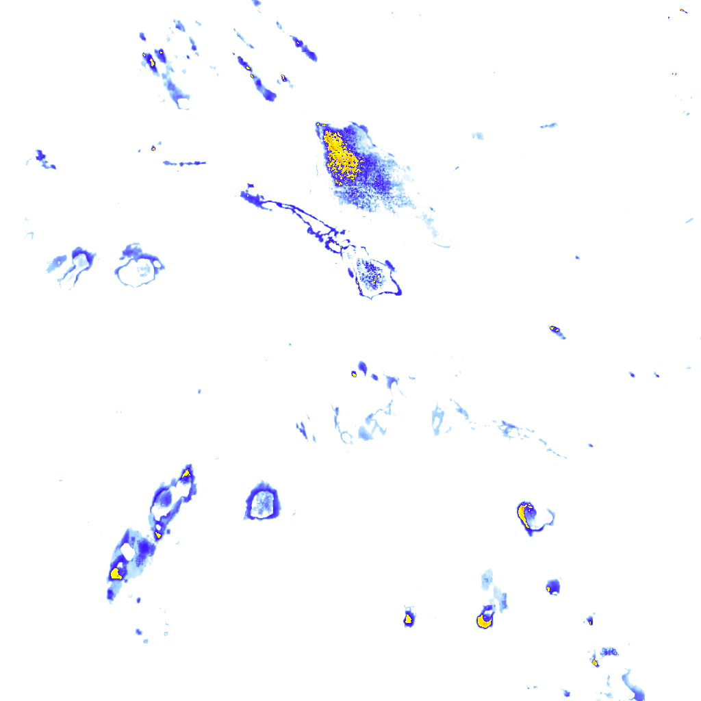 Image Layer