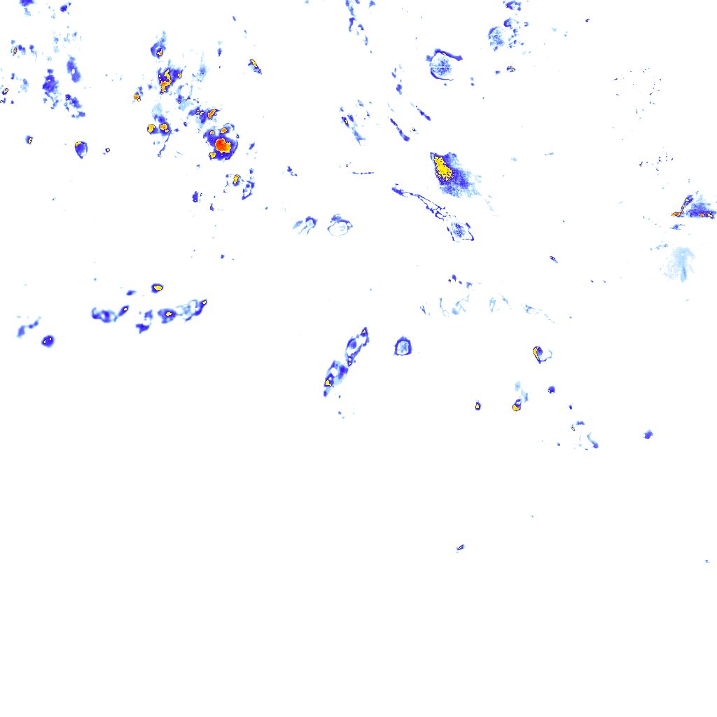 Image Layer