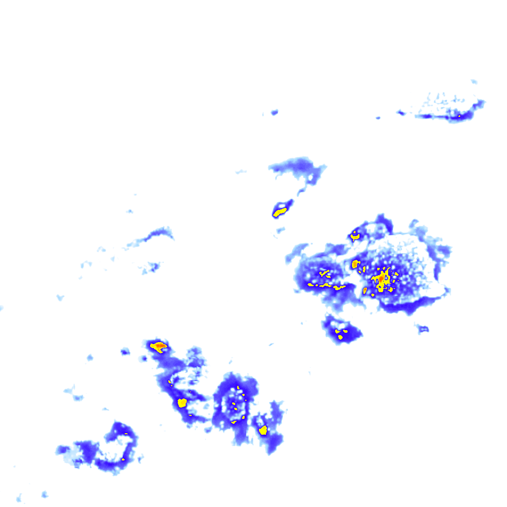 Image Layer
