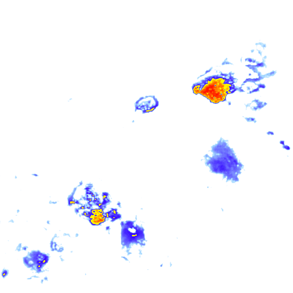 rainLayer