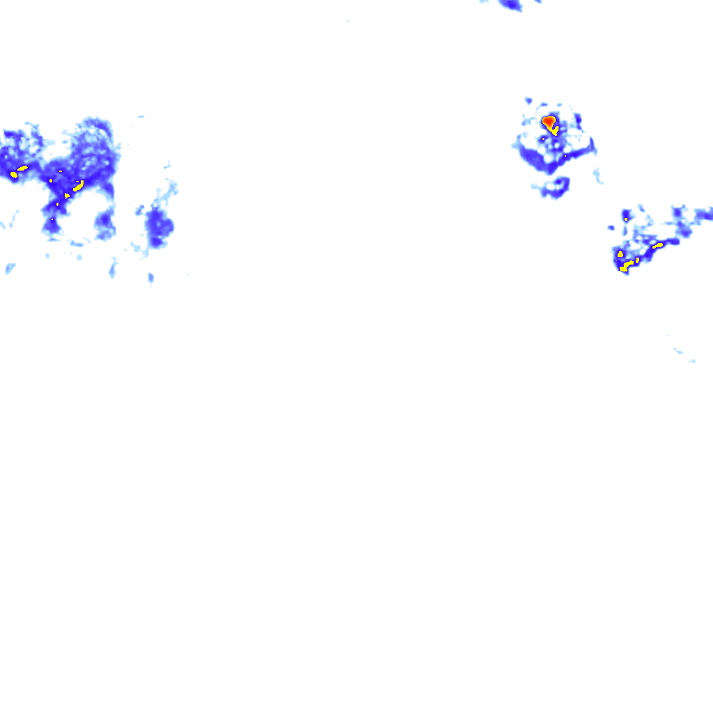 rainLayer