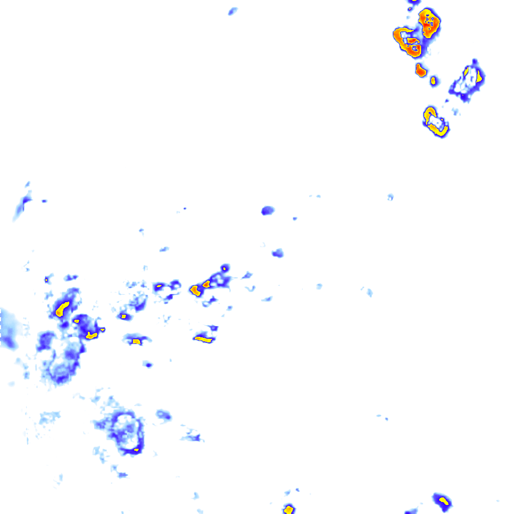 rainLayer