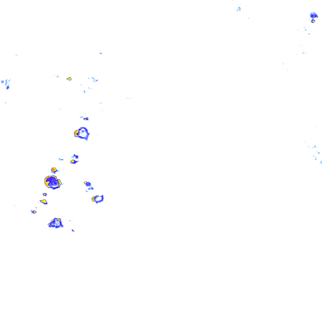 rainLayer