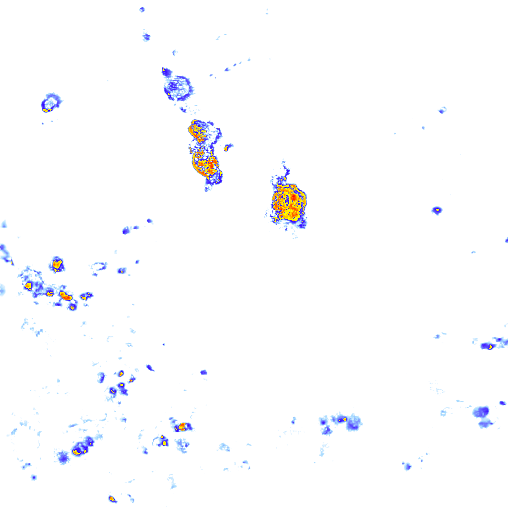 Image Layer