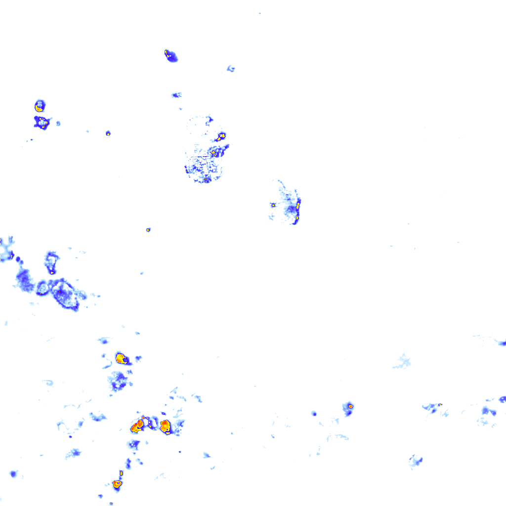 Image Layer