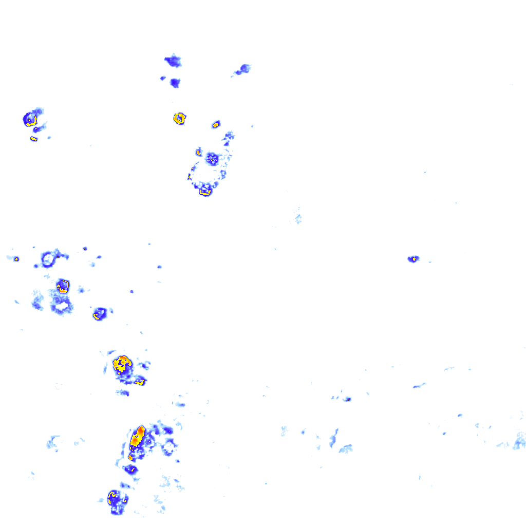 Image Layer