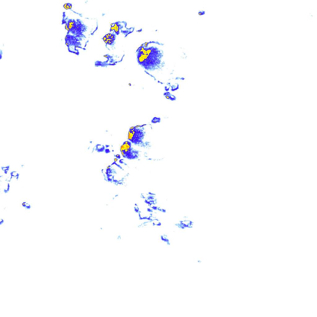 rainLayer