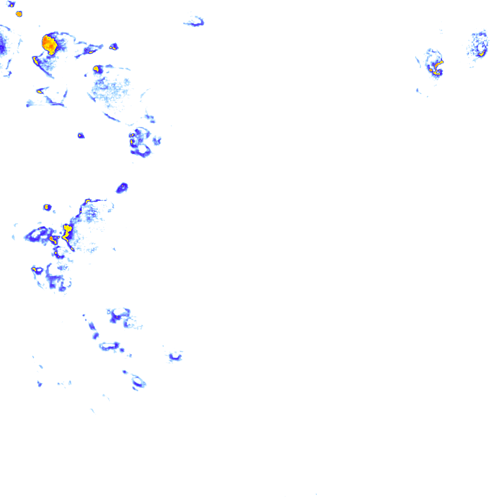 rainLayer