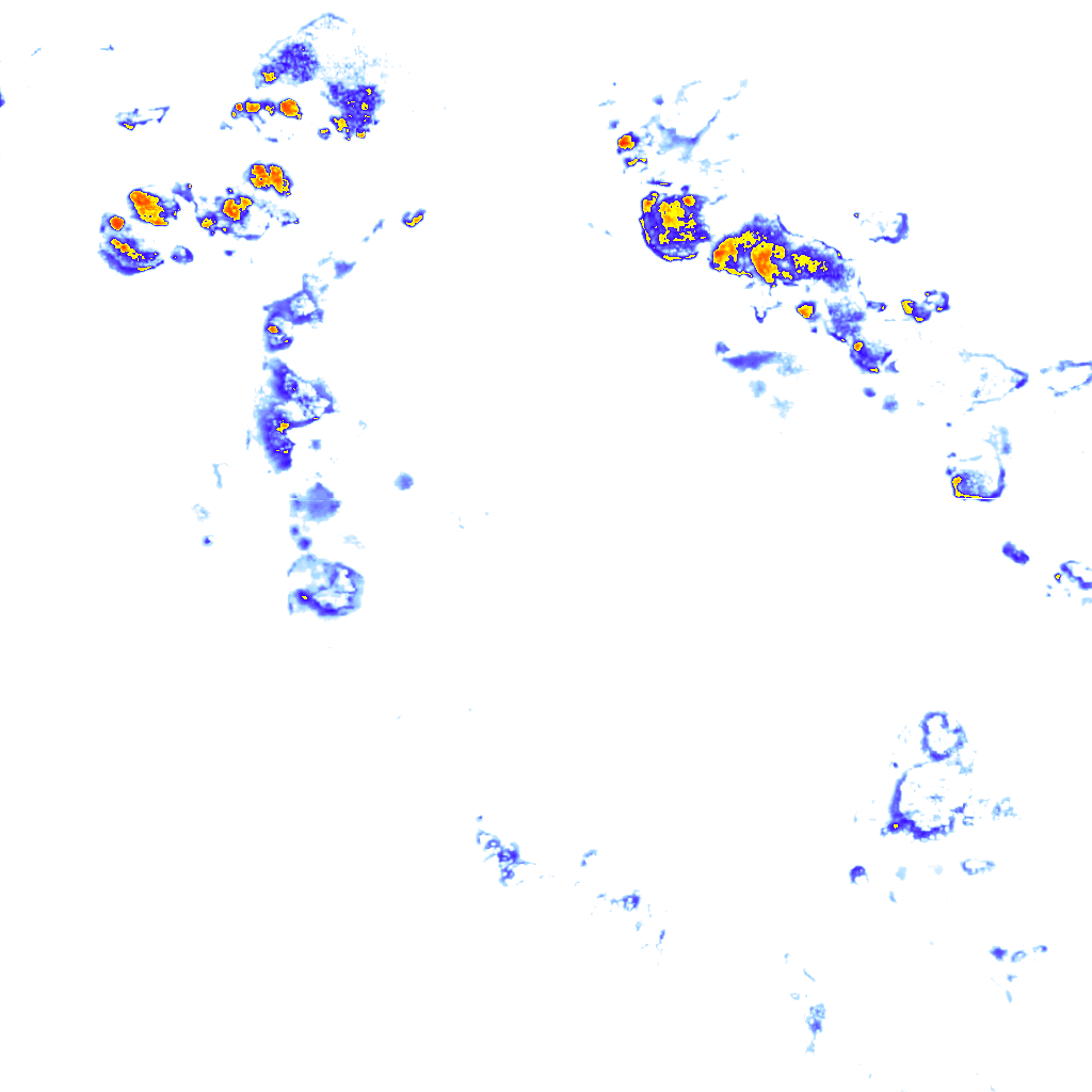 rainLayer