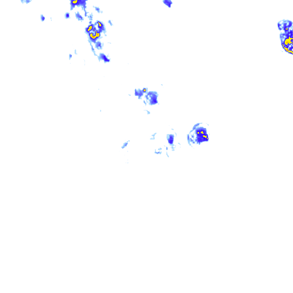 rainLayer
