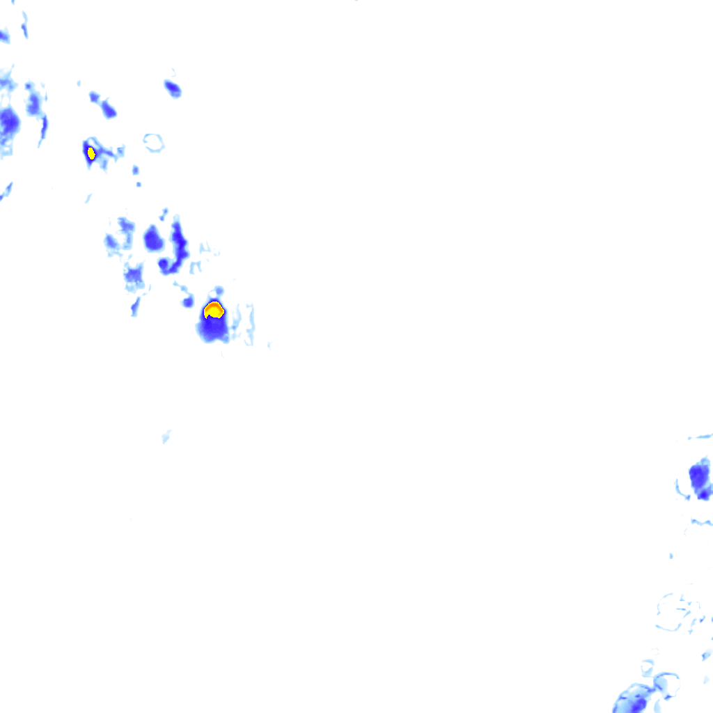 rainLayer