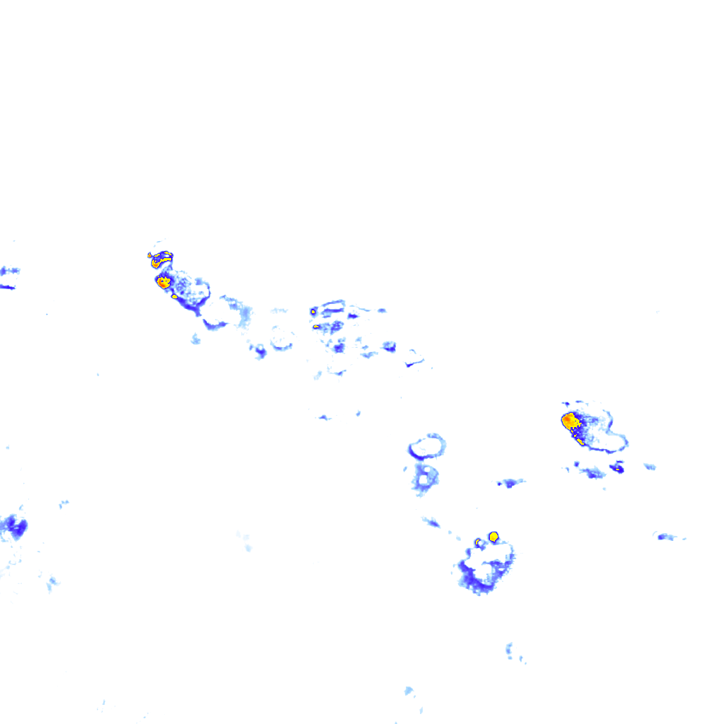 rainLayer
