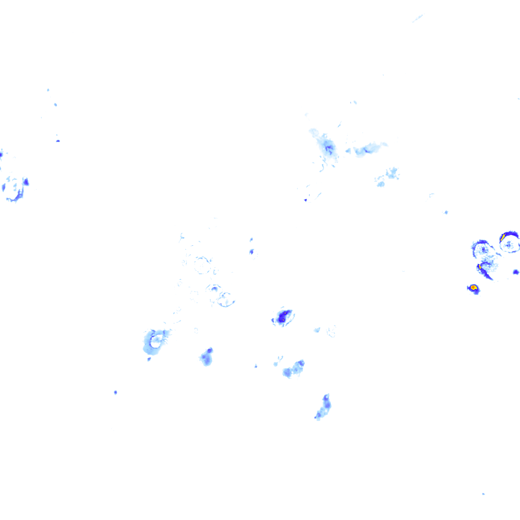 Image Layer