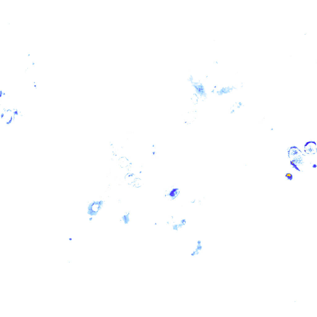 rainLayer