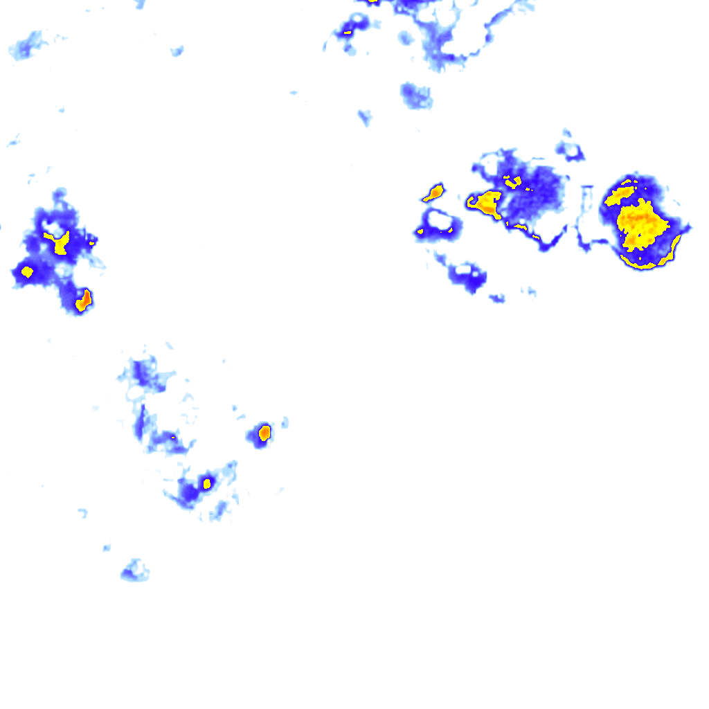 rainLayer