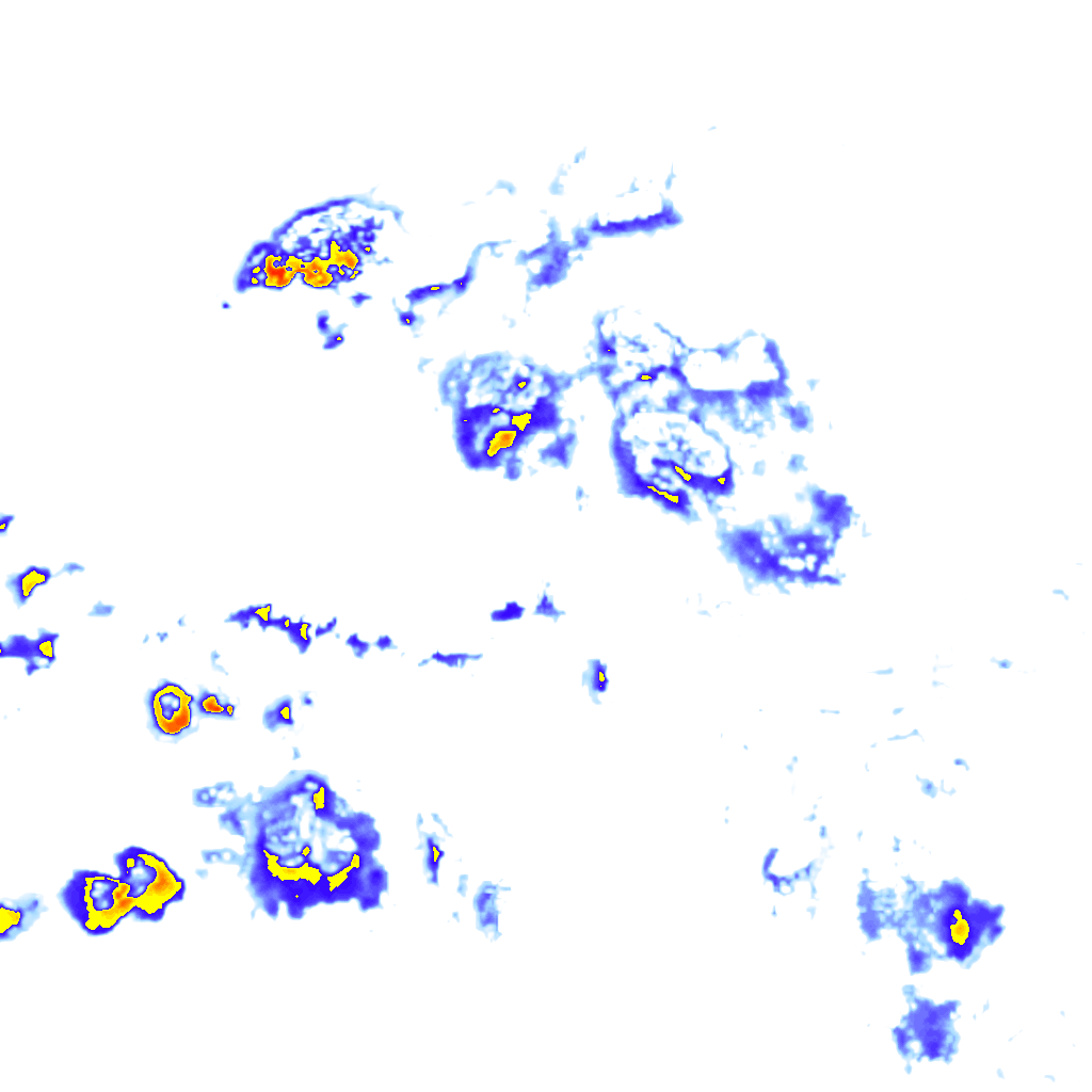 rainLayer
