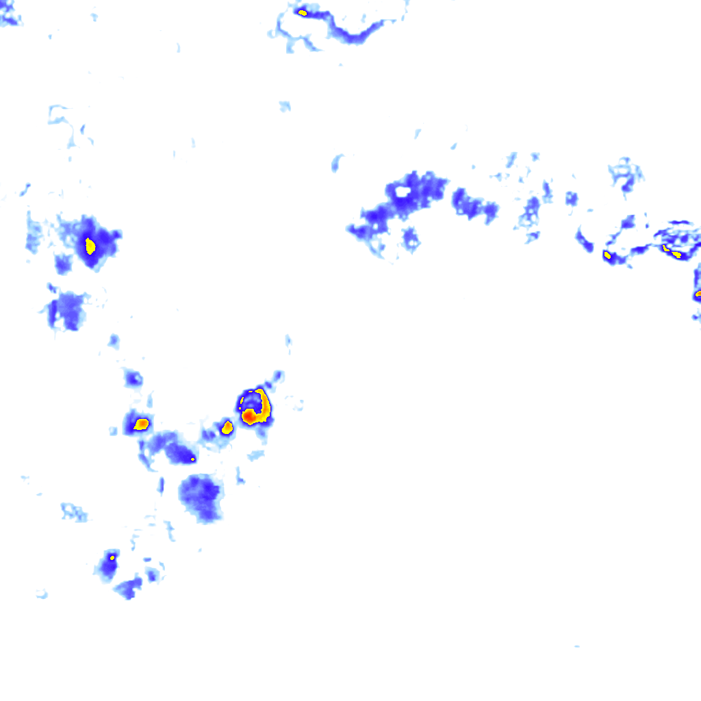 rainLayer