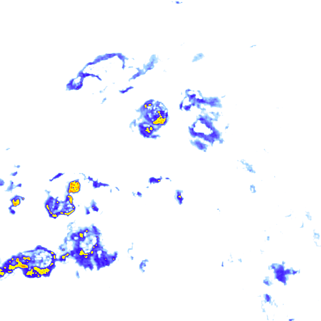 rainLayer