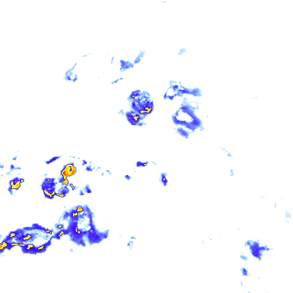 Image Layer