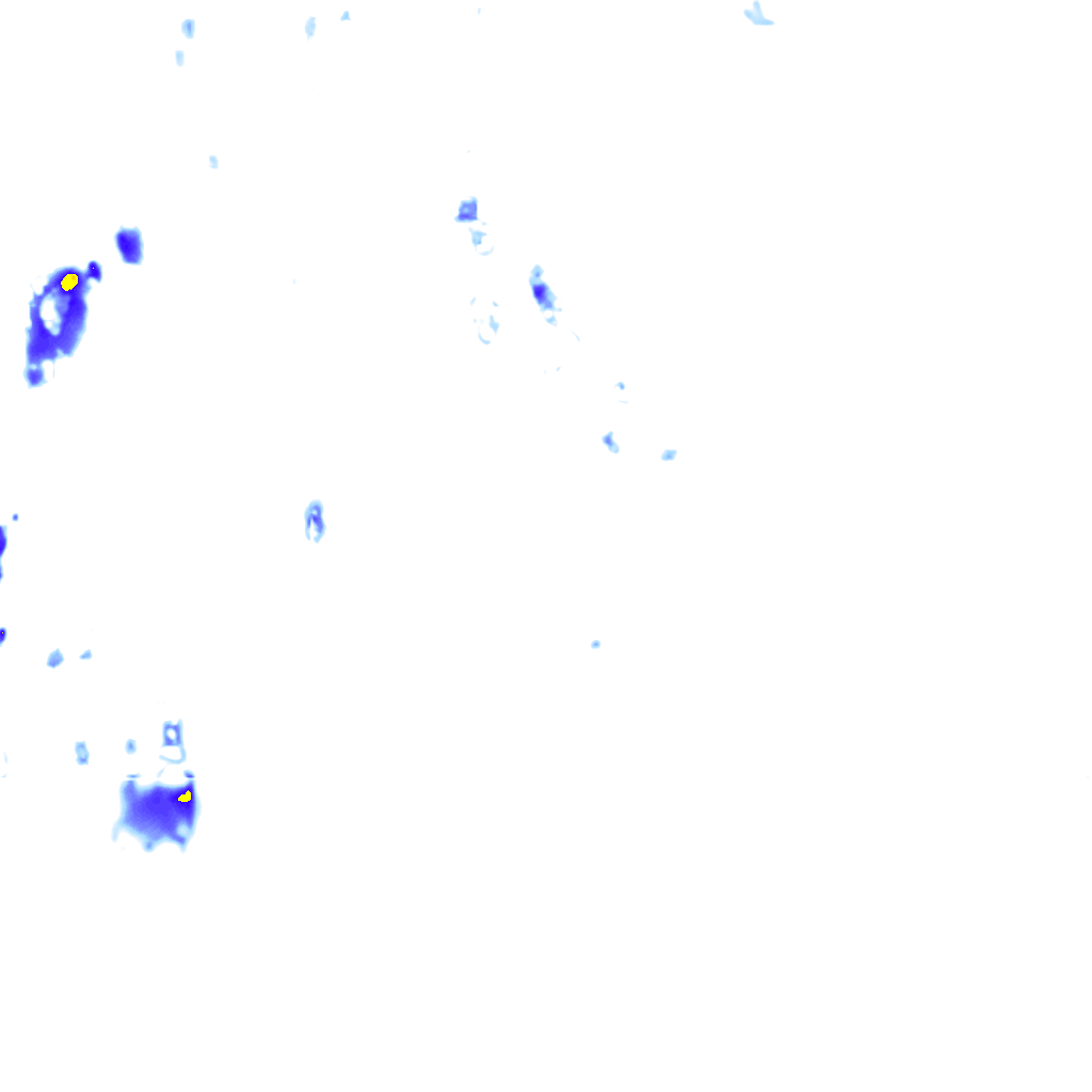 rainLayer
