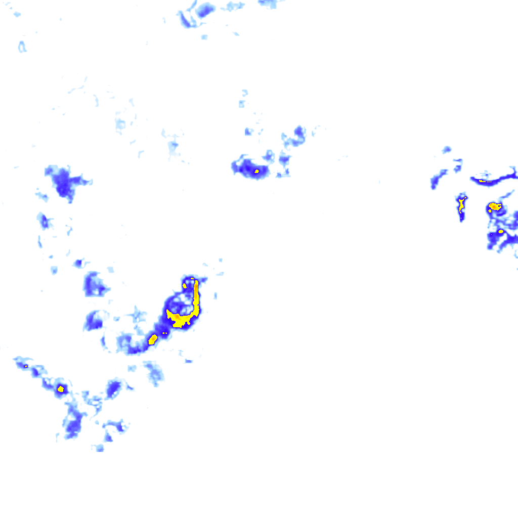 rainLayer