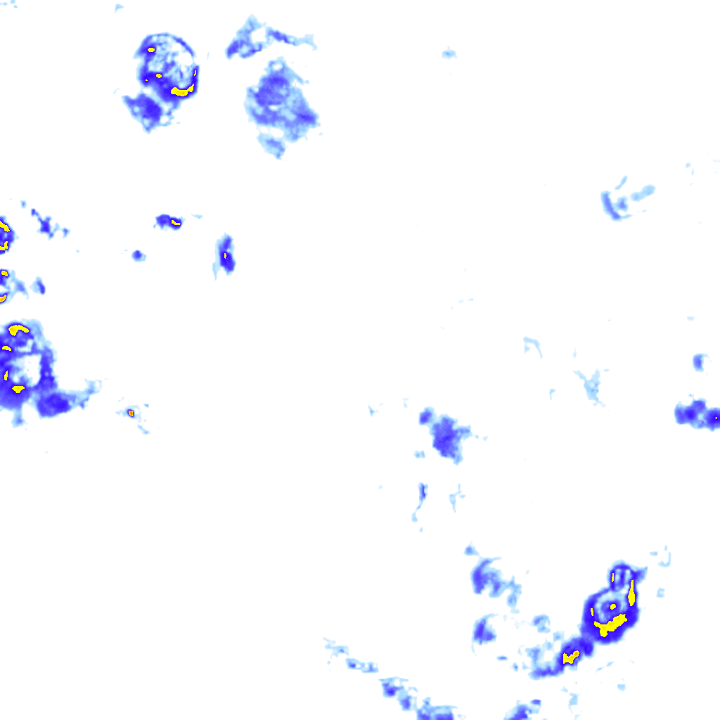 rainLayer