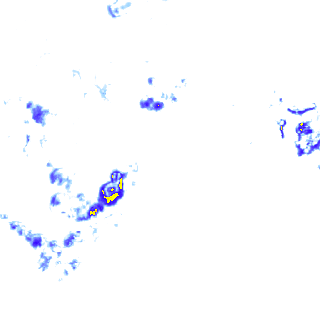 rainLayer