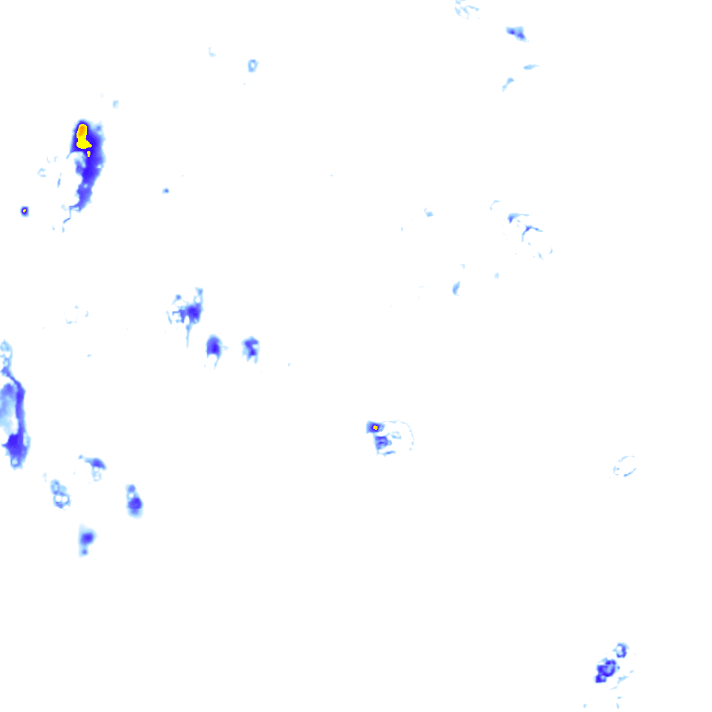 rainLayer