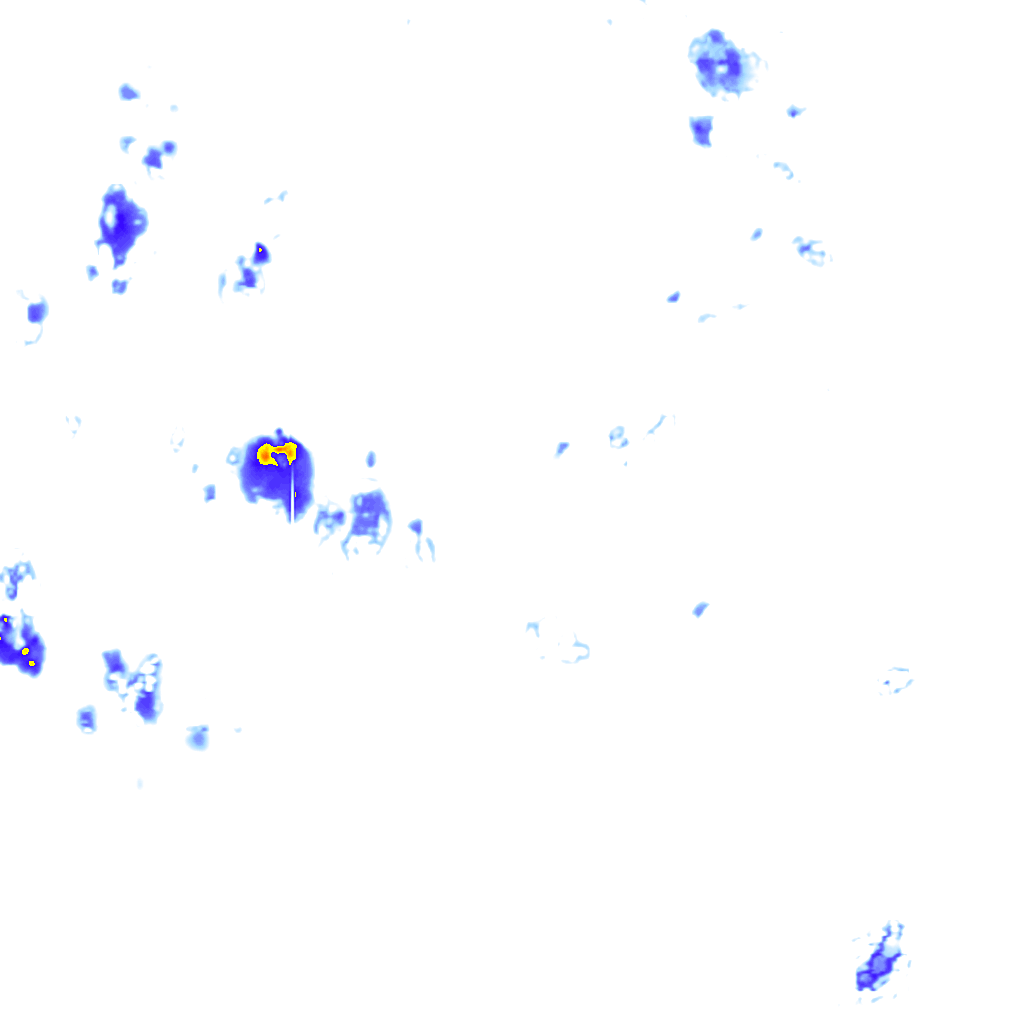 Image Layer