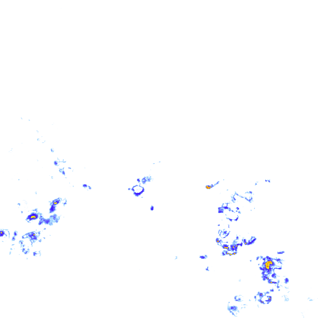 rainLayer