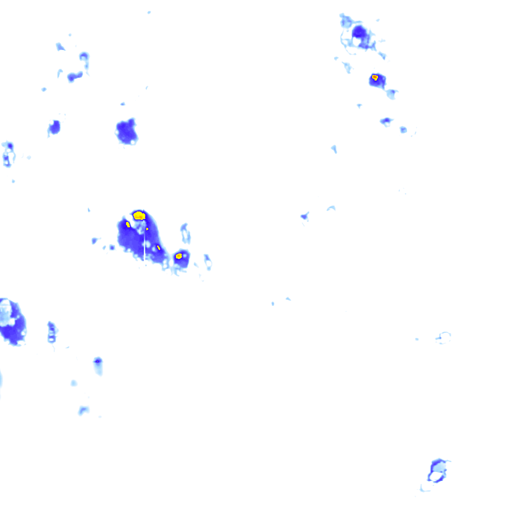 rainLayer