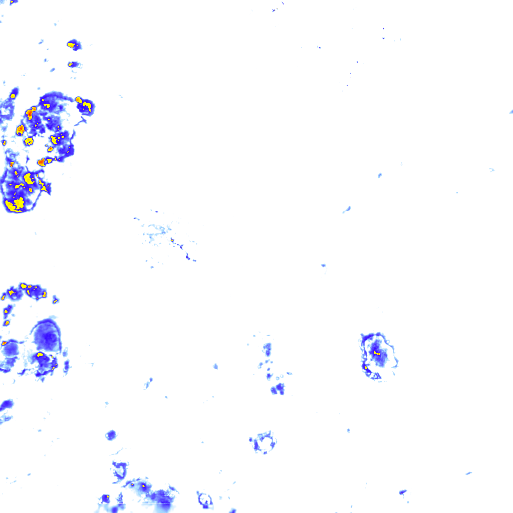 rainLayer