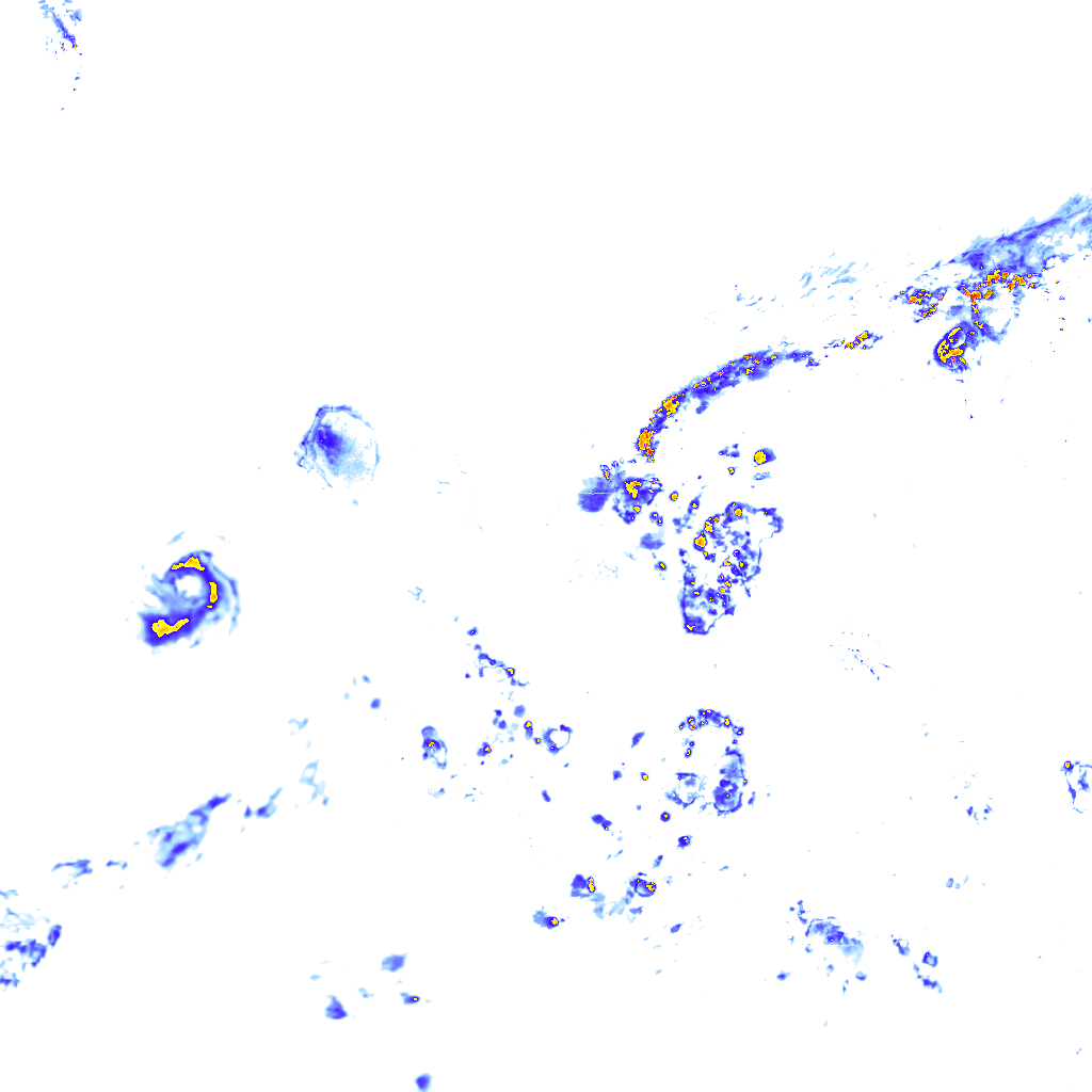 rainLayer