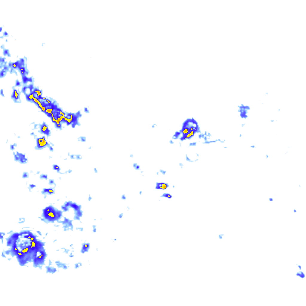 Image Layer