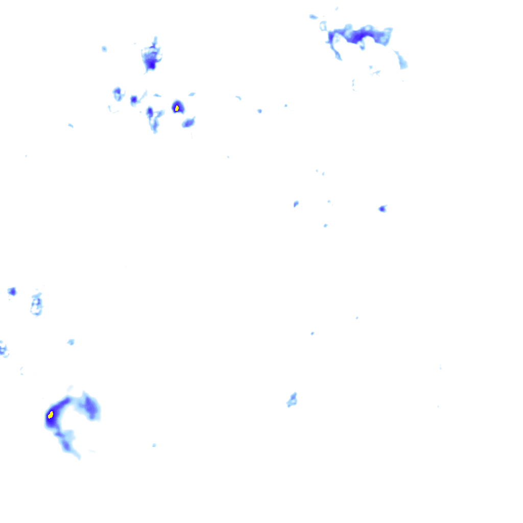 Image Layer