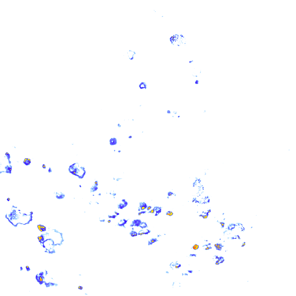rainLayer